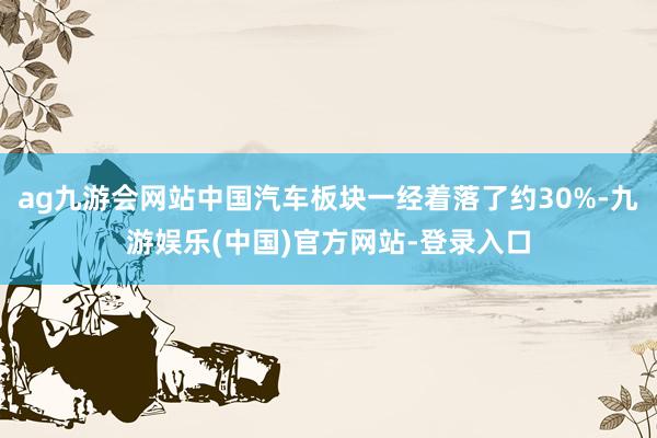 ag九游会网站中国汽车板块一经着落了约30%-九游娱乐(中国)官方网站-登录入口