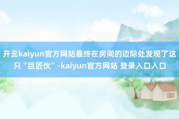 开云kaiyun官方网站最终在房间的边际处发现了这只“巨匠伙”-kaiyun官方网站 登录入口入口