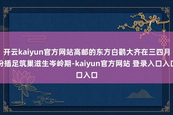 开云kaiyun官方网站高邮的东方白鹳大齐在三四月份插足筑巢滋生岑岭期-kaiyun官方网站 登录入口入口