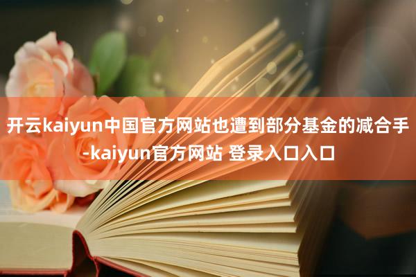开云kaiyun中国官方网站也遭到部分基金的减合手-kaiyun官方网站 登录入口入口