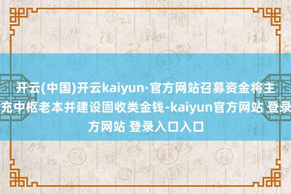 开云(中国)开云kaiyun·官方网站召募资金将主要用于补充中枢老本并建设固收类金钱-kaiyun官方网站 登录入口入口