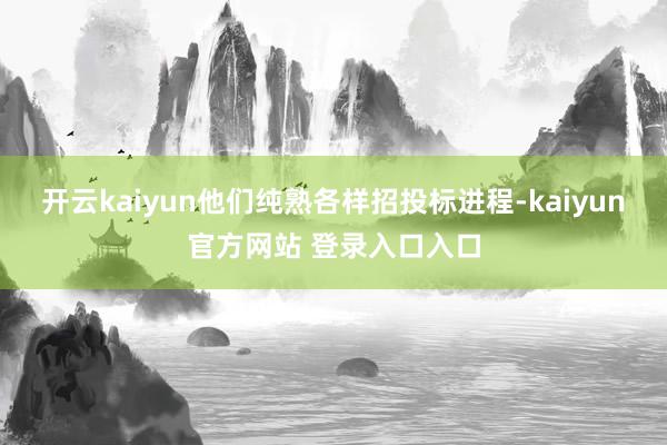 开云kaiyun他们纯熟各样招投标进程-kaiyun官方网站 登录入口入口