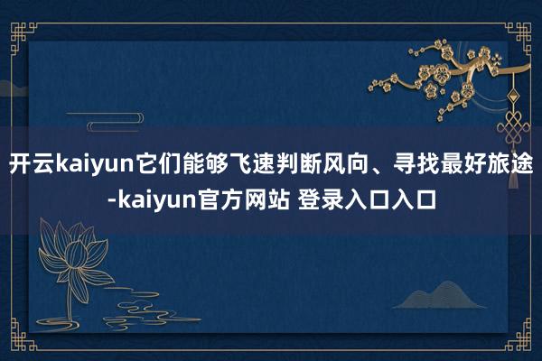 开云kaiyun它们能够飞速判断风向、寻找最好旅途-kaiyun官方网站 登录入口入口