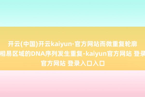 开云(中国)开云kaiyun·官方网站而微重复轮廓征则是指相易区域的DNA序列发生重复-kaiyun官方网站 登录入口入口