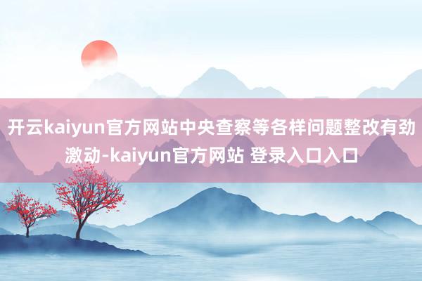 开云kaiyun官方网站中央查察等各样问题整改有劲激动-kaiyun官方网站 登录入口入口