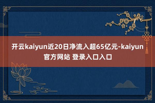 开云kaiyun近20日净流入超65亿元-kaiyun官方网站 登录入口入口