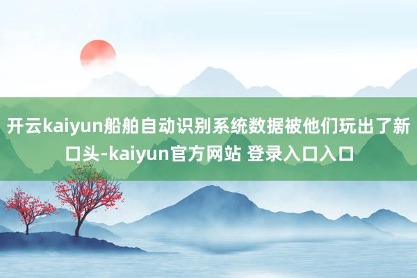 开云kaiyun船舶自动识别系统数据被他们玩出了新口头-kaiyun官方网站 登录入口入口